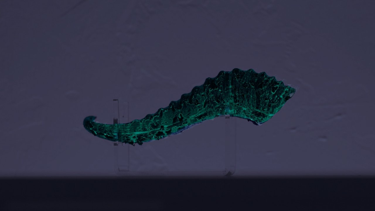 Whispers Movie Screenshot 1