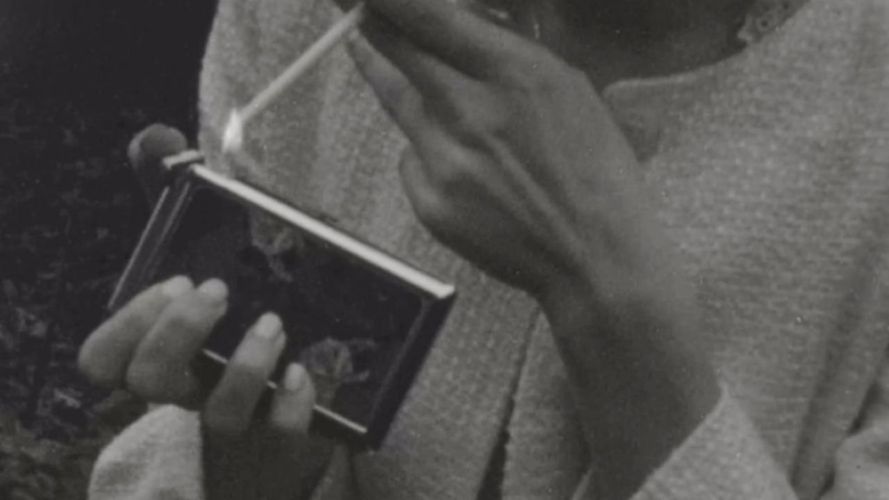 I Wanna Be Adored Movie Screenshot 2