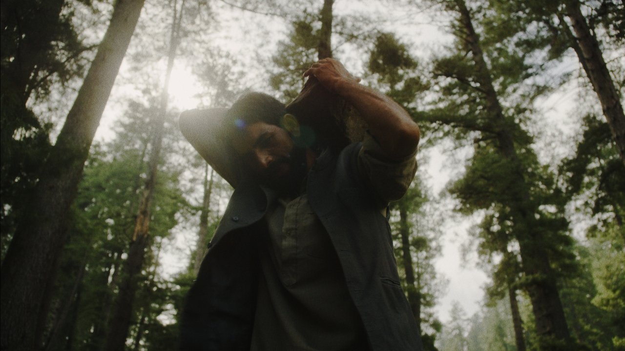 The Shepherdess and the Seven Songs Movie Screenshot 3