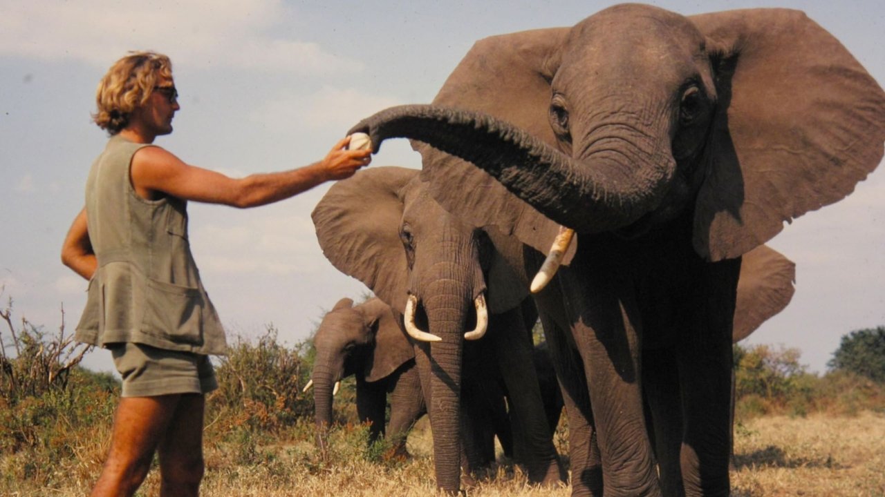 A Life Among Elephants Movie Screenshot 1
