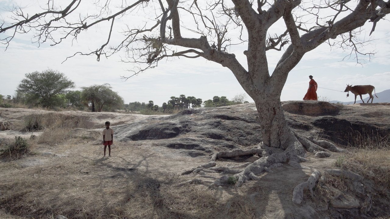 Pebbles Movie Screenshot 2