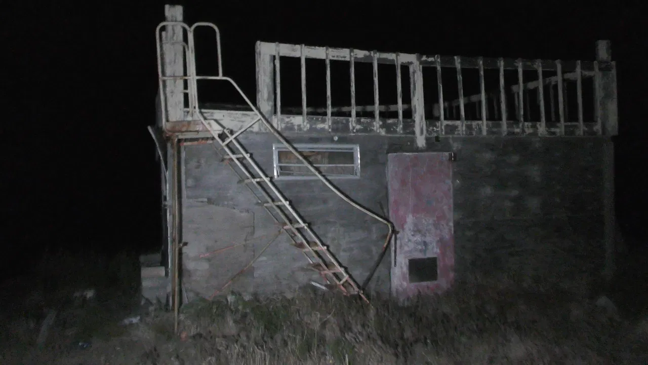 The Wilderness Tapes: Volume One Movie Screenshot 5