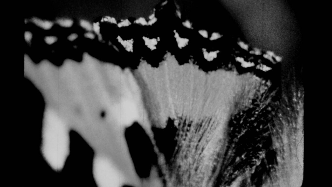 Butterfly Maneuvers Movie Screenshot 2