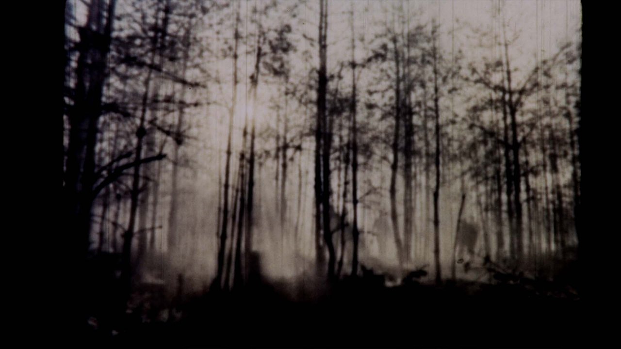 Butterfly Maneuvers Movie Screenshot 3