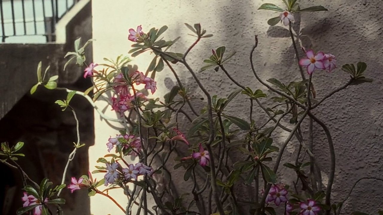 Chaar Phool Hain Aur Duniya Hai Movie Screenshot 4