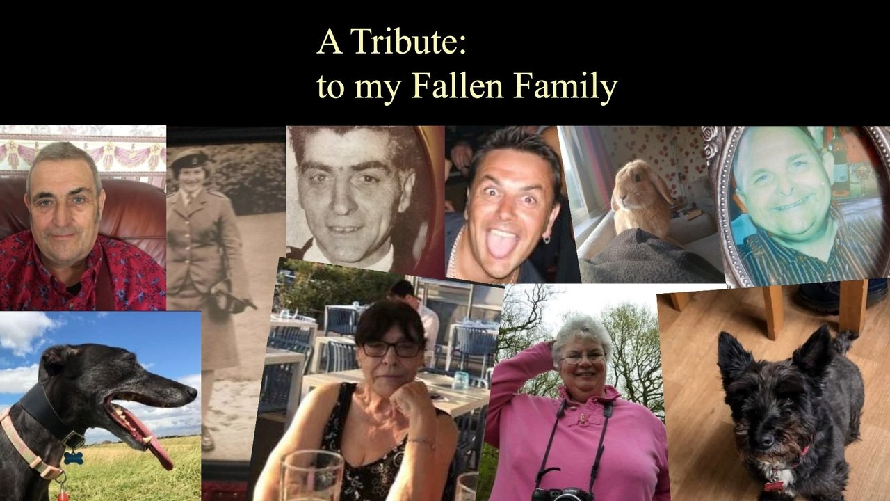 A Tribute: To My Fallen Family Movie Screenshot 2