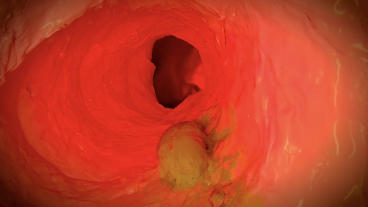 Immaculate Perception Movie Screenshot 4